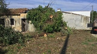 Land for sale in Montemor-o-Velho, Portugal — €40,000