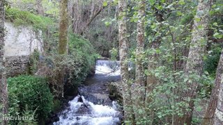 Land for sale in Miranda do Corvo, Portugal — €210,000