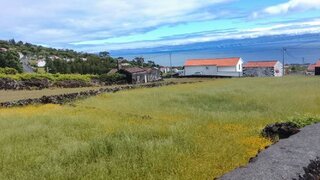 Terreno em São Roque do Pico · 500 m² · 55 000 €