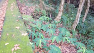 Land for sale in Angra do Heroísmo, Portugal — €40,000