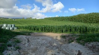 Terreno em Lagoa (Açores)