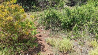 Land for sale in Santa Cruz, Portugal — €35,000