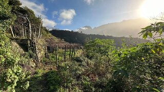 Land for sale in São Vicente, Portugal — €65,000