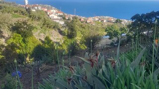 Land for sale in Ponta do Sol, Portugal — €180,000