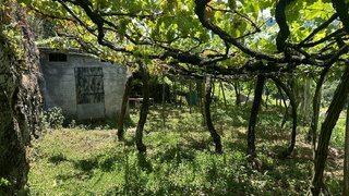 Land for sale in São Vicente, Portugal — €65,000