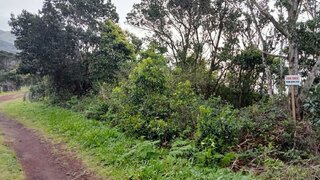 Land for sale in Horta, Portugal — €35,000