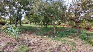 Land for sale in Figueira da Foz, Portugal — €35,000