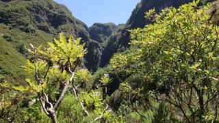 Land for sale in Calheta (Madeira), Portugal — €350,000