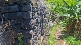Land for sale in Ribeira Brava, Portugal — €65,000