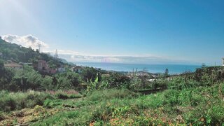 Terreno em Funchal · 111 000 m² · 138 000 €