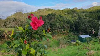 Land for sale in Vila do Porto, Portugal — €150,000