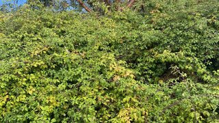 Land for sale in Santa Cruz, Portugal — €120,000