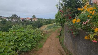 Terreno para venda em Santana, Portugal — 87 500 €