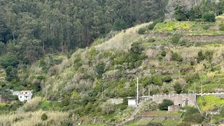 Land for sale in Câmara de Lobos, Portugal — €215,000