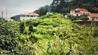 Terreno para venda em Porto Moniz, Portugal — 115 000 €