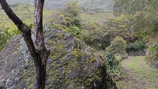 Terreno em Lajes das Flores