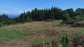 Land for sale in São Roque do Pico, Portugal — €69,000