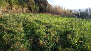 Land for sale in Santa Cruz das Flores, Portugal — €1,234
