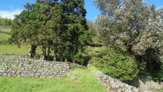 Terreno em Angra do Heroísmo