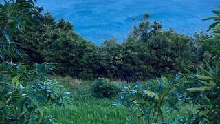 Land for sale in São Roque do Pico, Portugal