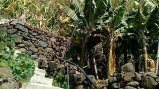 Land for sale in Ponta do Sol, Portugal — €50,000
