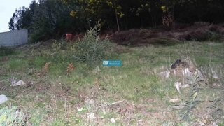 Land for sale in Santa Cruz, Portugal — €120,000