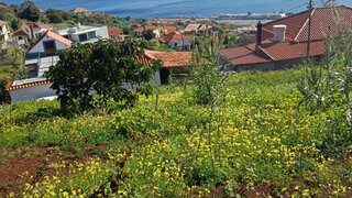 Land for sale in Santa Cruz, Portugal — €125,000