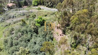 Terreno em Funchal