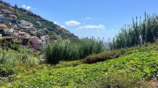 Land for sale in Câmara de Lobos, Portugal — €60,000