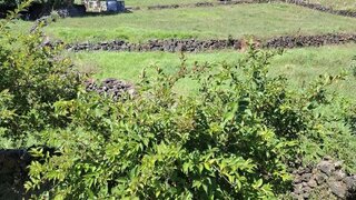 Land for sale in Angra do Heroísmo, Portugal — €65,000