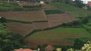 Land for sale in Machico, Portugal — €340,000