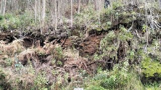 Land for sale in Calheta (Madeira), Portugal — €58,500