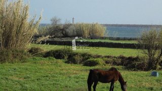 Land for sale in Praia da Vitória, Portugal — €475,000