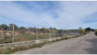 Terreno de 20 250 m² em Castelo Branco