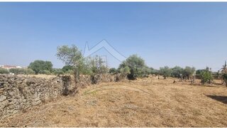 Terreno de 4193 m² em Castelo Branco
