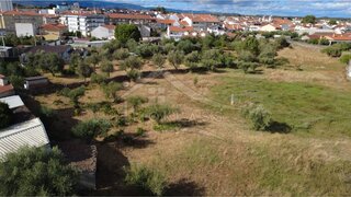 Terreno de 5000 m² em Castelo Branco