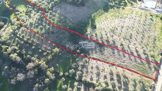 Terreno em Bragança · 10 000 m² · 34 500 €