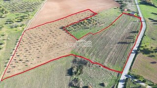 Terreno de 30 000 m² em Bragança