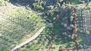 Terreno de 10 000 m² em Bragança