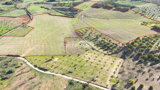 Terreno de 120 000 m² em Bragança