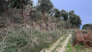 Terreno em Baião
