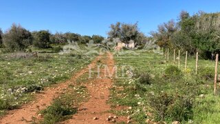 Land for sale in Portimão, Portugal — €320,000