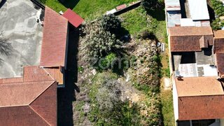 Land for sale in Anadia, Portugal — €30,000