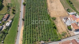 Terreno em Anadia · 9050 m² · 155 000 €