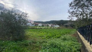 Land for sale in Anadia, Portugal — €25,000