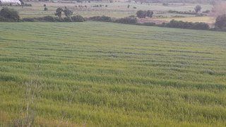 Terreno de 6100 m² em Aveiro