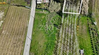 Land for sale in Anadia, Portugal — €30,000
