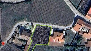 Land for sale in Anadia, Portugal — €33,000