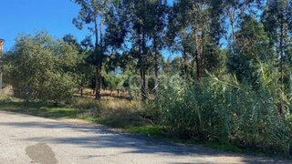 Land for sale in Mealhada, Portugal — €56,000