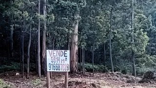 Land for sale in Oliveira de Azeméis, Portugal — €236,560